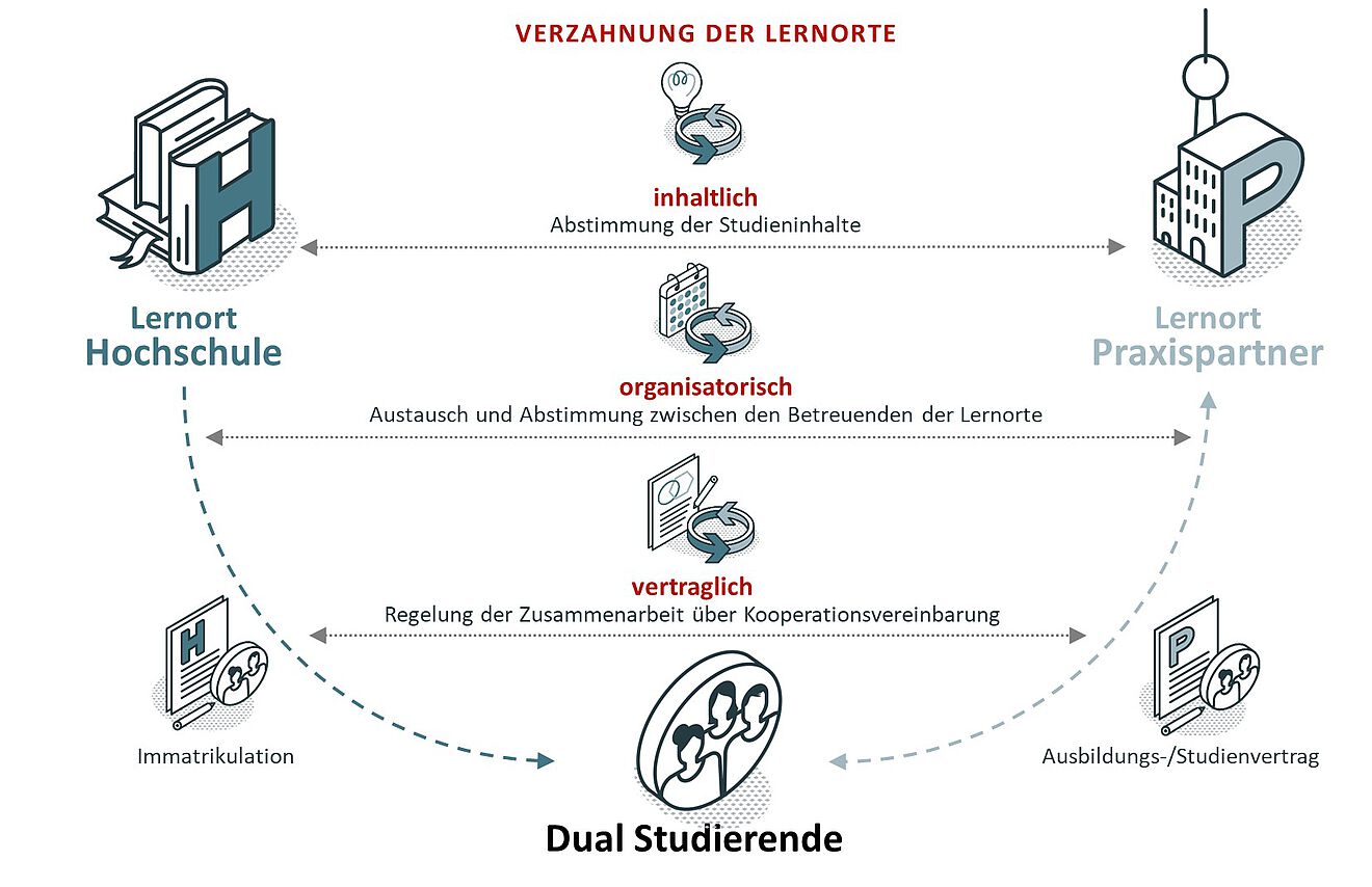 Grafik zur Struktur von dualen Studiengängen